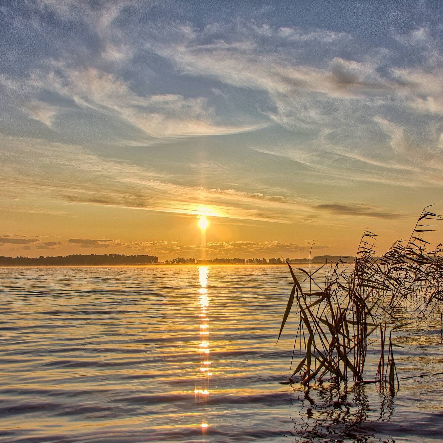 природа пейзаж лето озеро восход солнце облака камыши облака сибирь, Юрий Спасенников