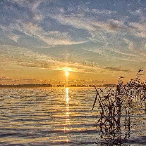 На утренней зорьке