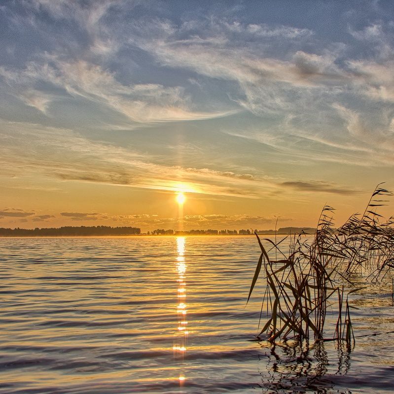 природа пейзаж лето озеро восход солнце облака камыши облака сибирь На утренней зорьке фото превью