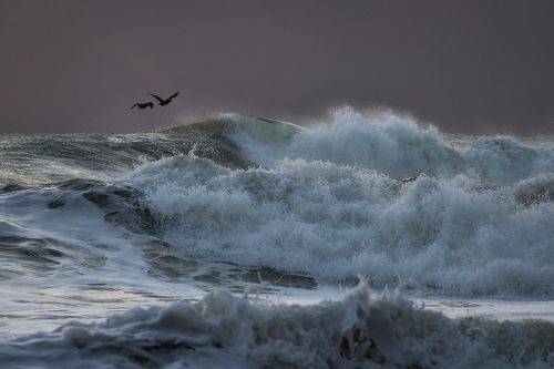 В полёте над волнами.