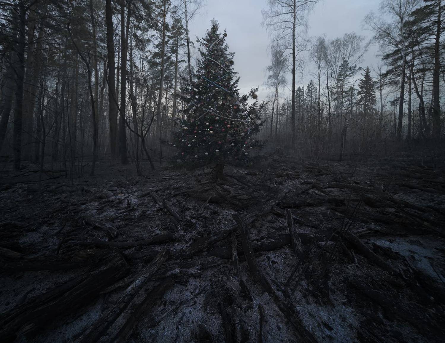 , Дeнис Бoдрoв