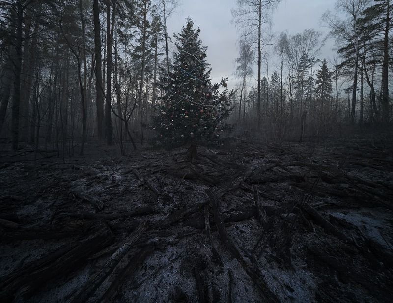 ___ фото превью