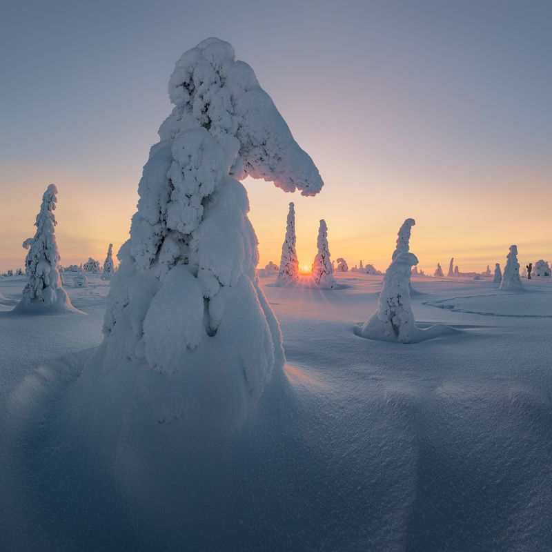 Riisitunturi National Park фото превью