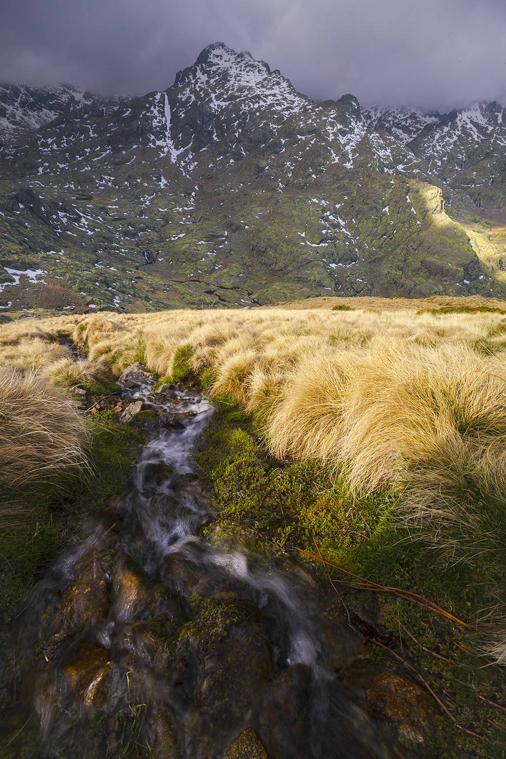 photography, mountain, autumn, fog, landscape, photo, awakening, flowers, land, landmark, lands, soft ligth, ligth, mountains, photo, river, jimenez millan samuel