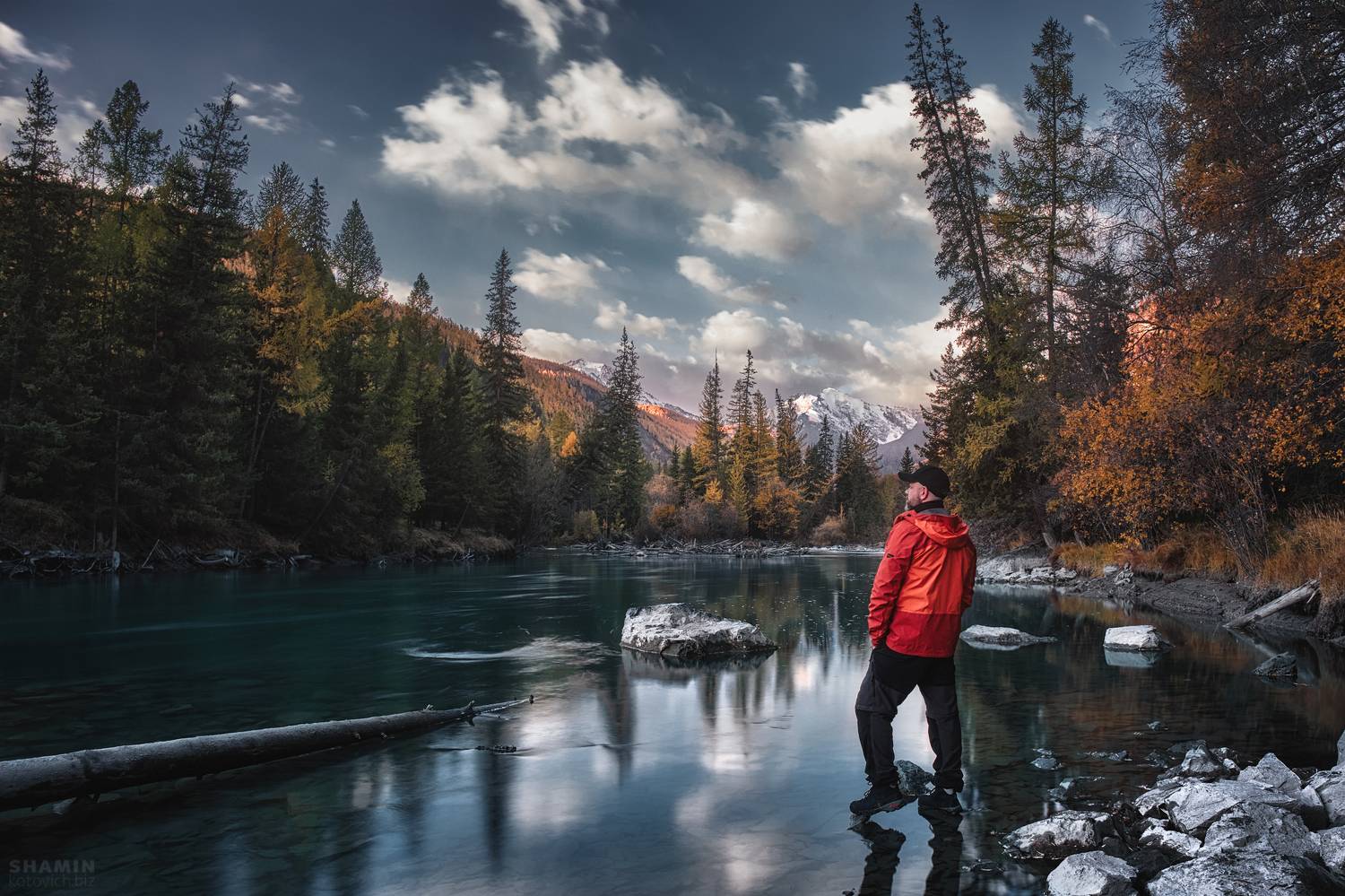 , Константин Шамин