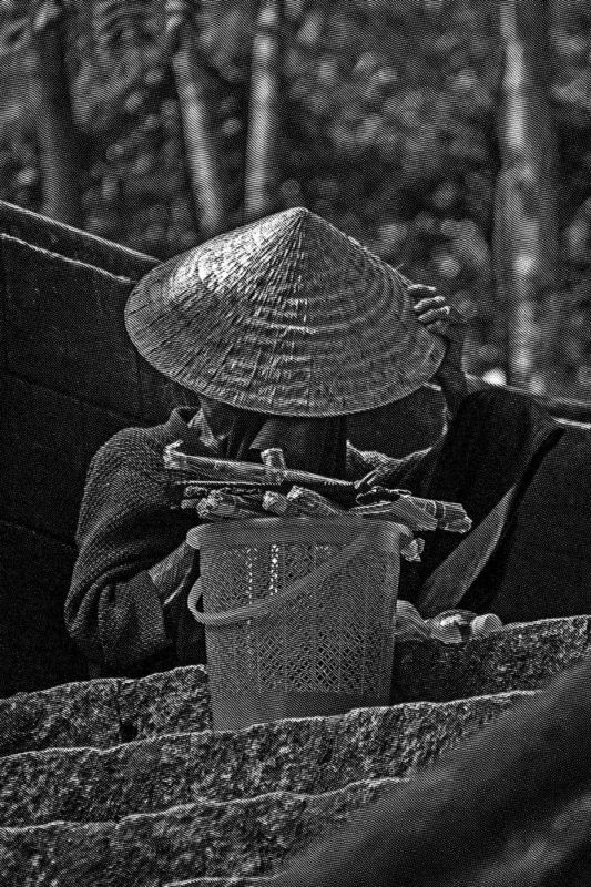 Nón lá Việt Nam фото превью