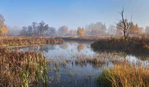 Октябрьское утро на старице