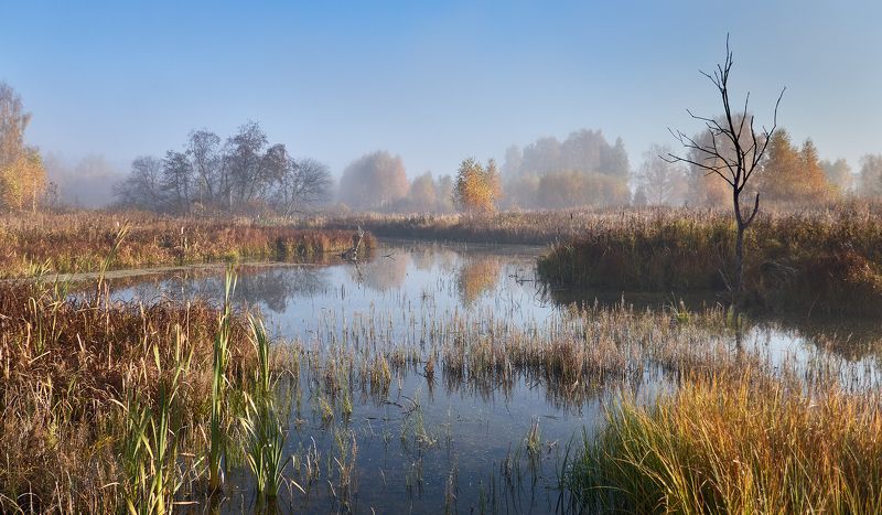 Октябрьское утро на старице фото превью