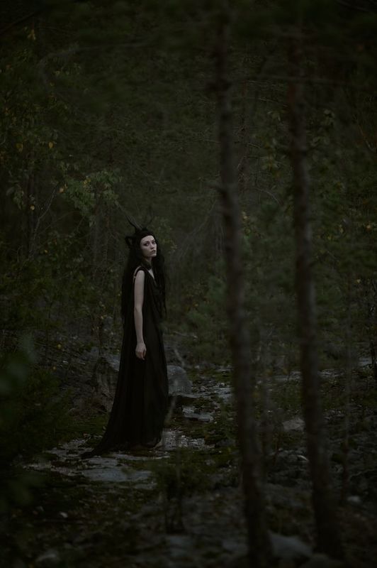 Мох фото превью