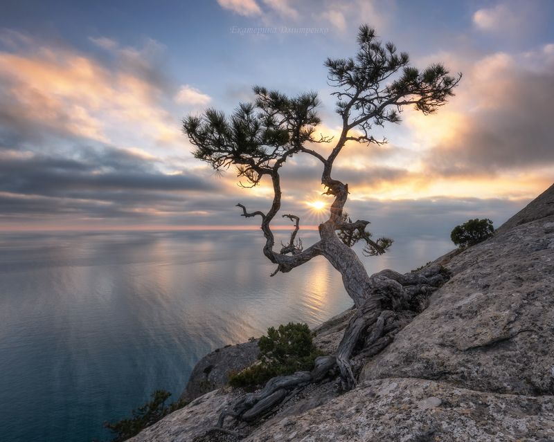 крым, новый свет, горы, море, закат, пейзаж, сосна, landscape Пик Космос и его самая фотогеничная модель фото превью