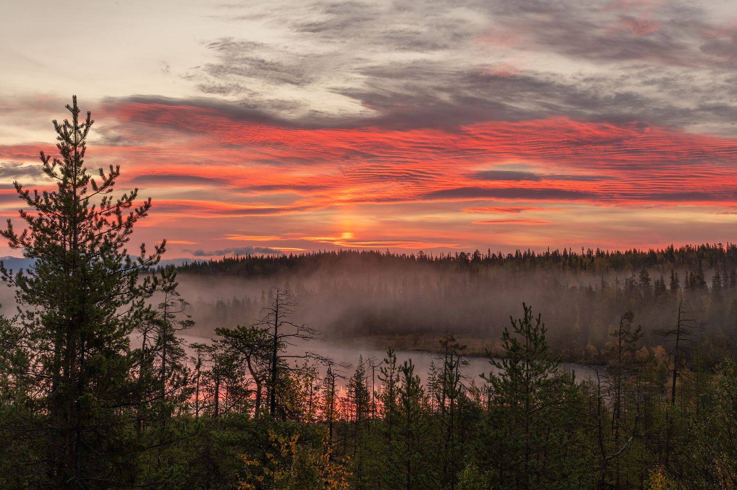 , Карамышева Дарья