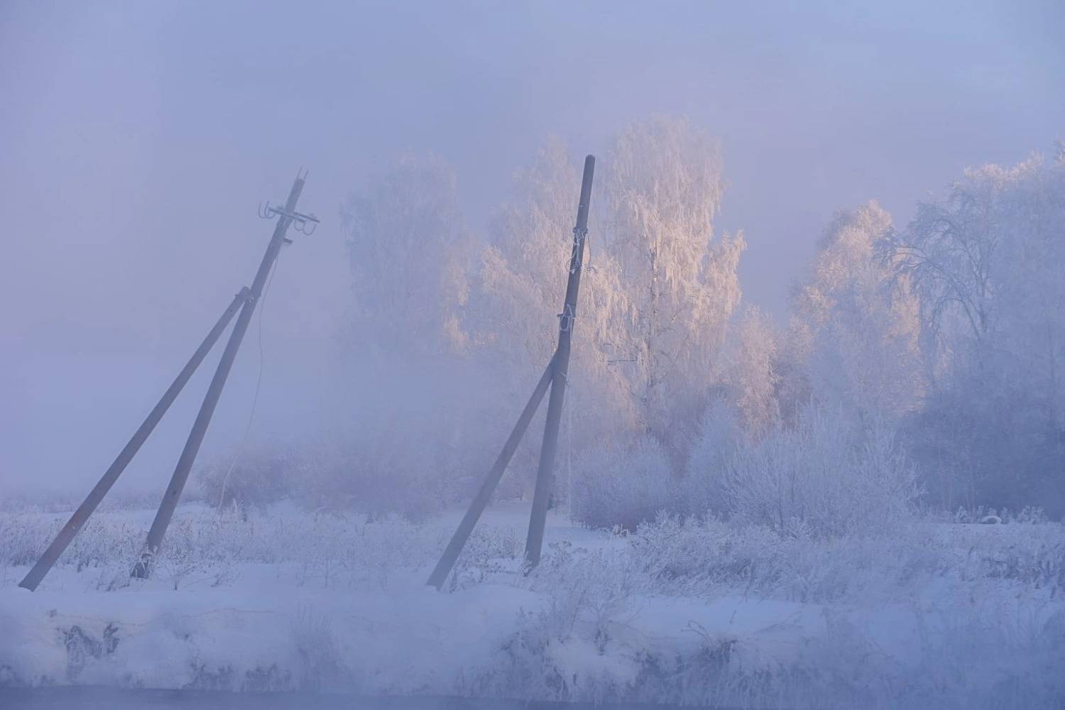 , Ватрушкин Максим