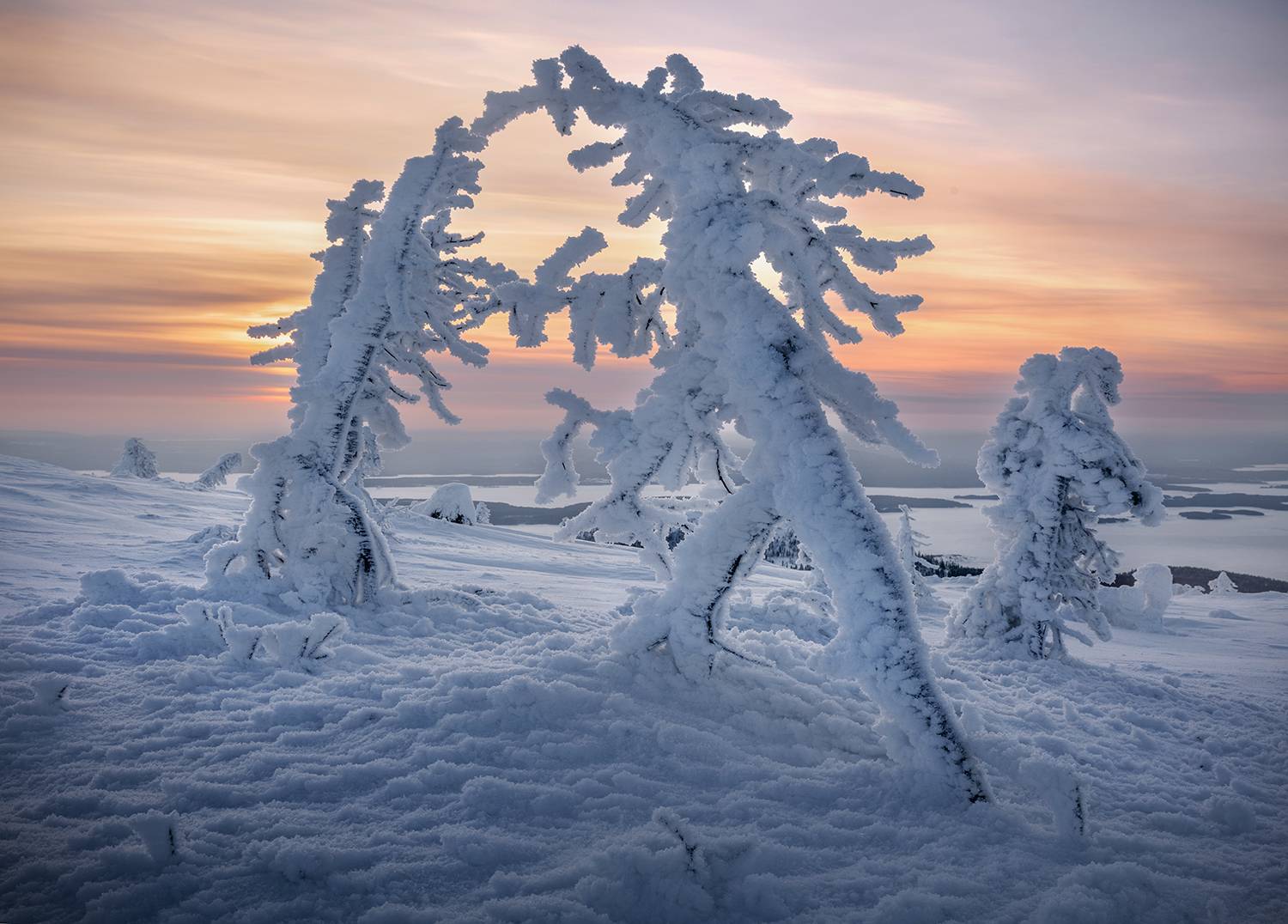 север, зима, снег, мороз, закат, сопки, Сергей Буторин
