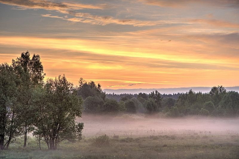 природа пейзаж лето заря восход рассвет туман облака дымка солнце подмосковье Палитра утренней зари фото превью