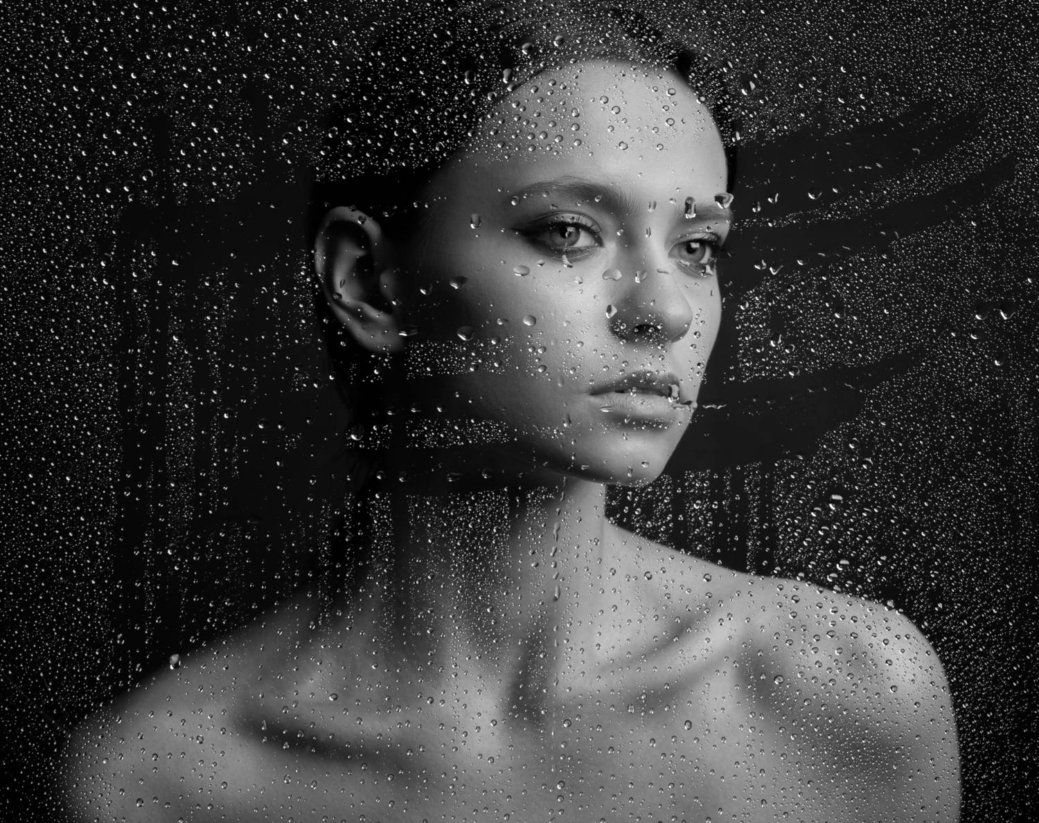 , Алексей Пучковский