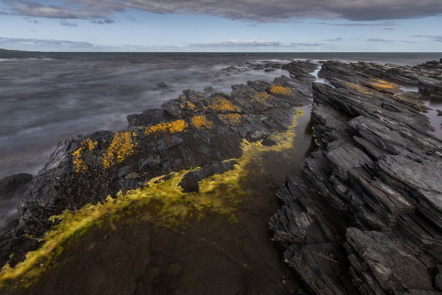 , Константин Маланин