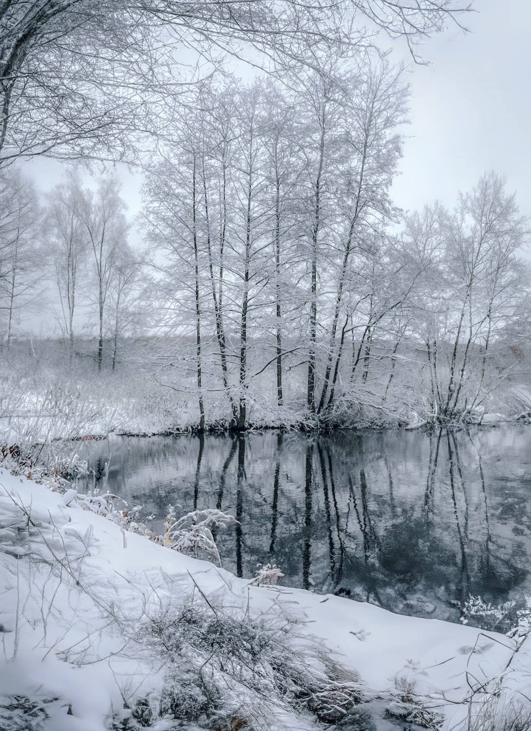 зима, winter, landscape, природа, nature, пейзаж, лес, forest, Julia Kaissa