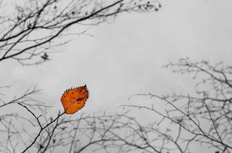 А он никак не мог понять... фото превью