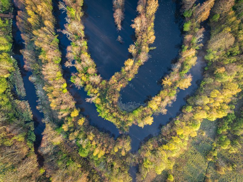 Узоры фото превью