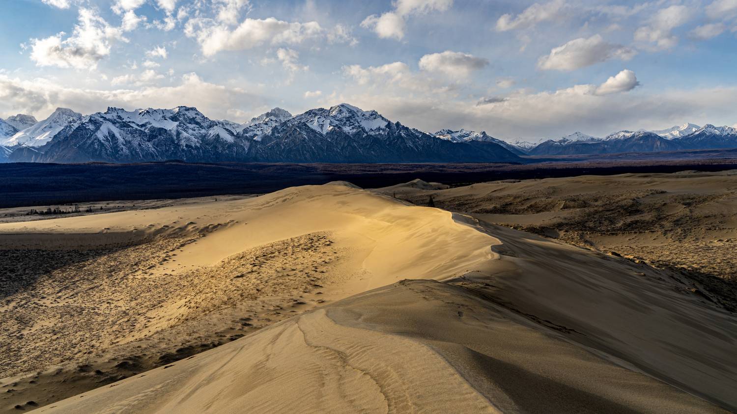 чарские пески, пустыня, кодар, забайкалье, Екатерина Дубровская