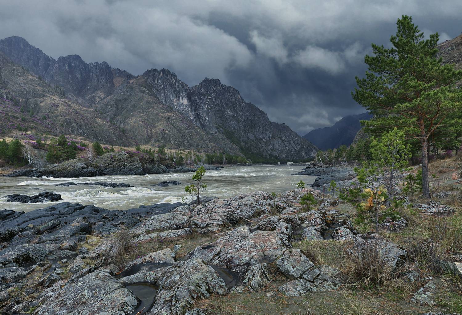 , Галина Хвостенко