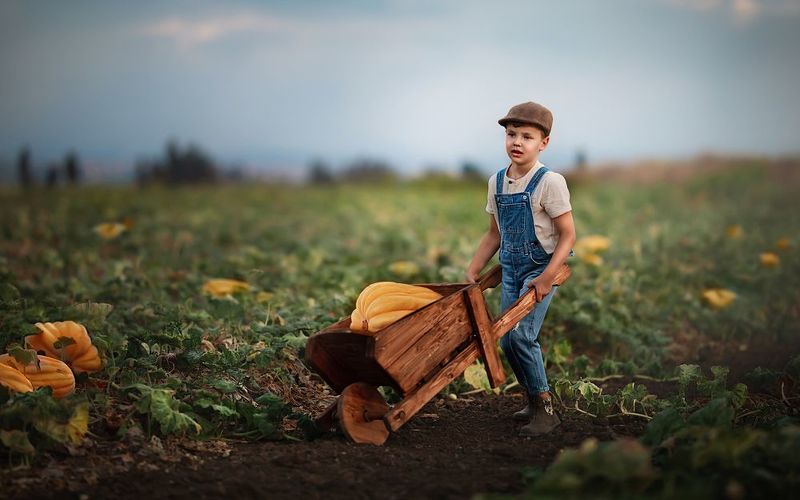 фото превью