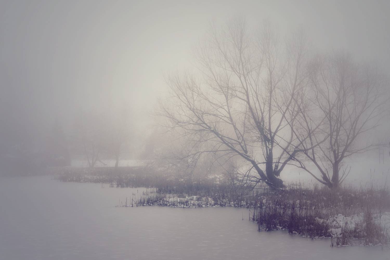 , Юлияна Стоянова