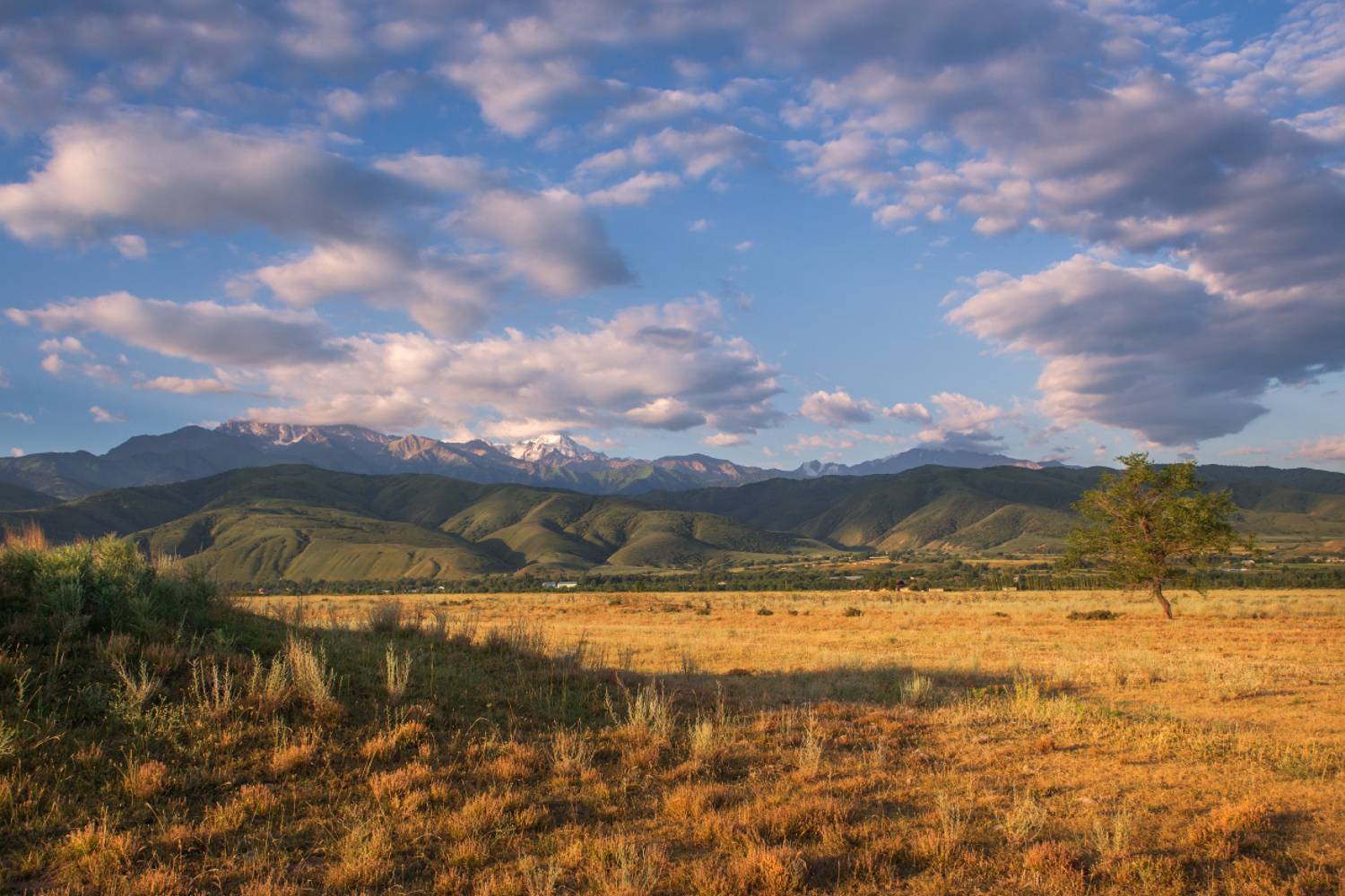 казахстан иссык заилийский алатау пик талгар, Алексеев Дмитрий