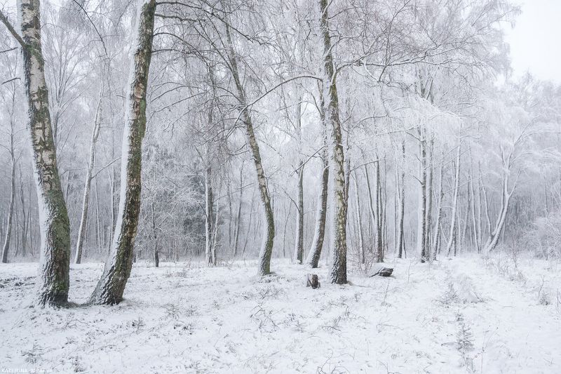 Была зима фото превью