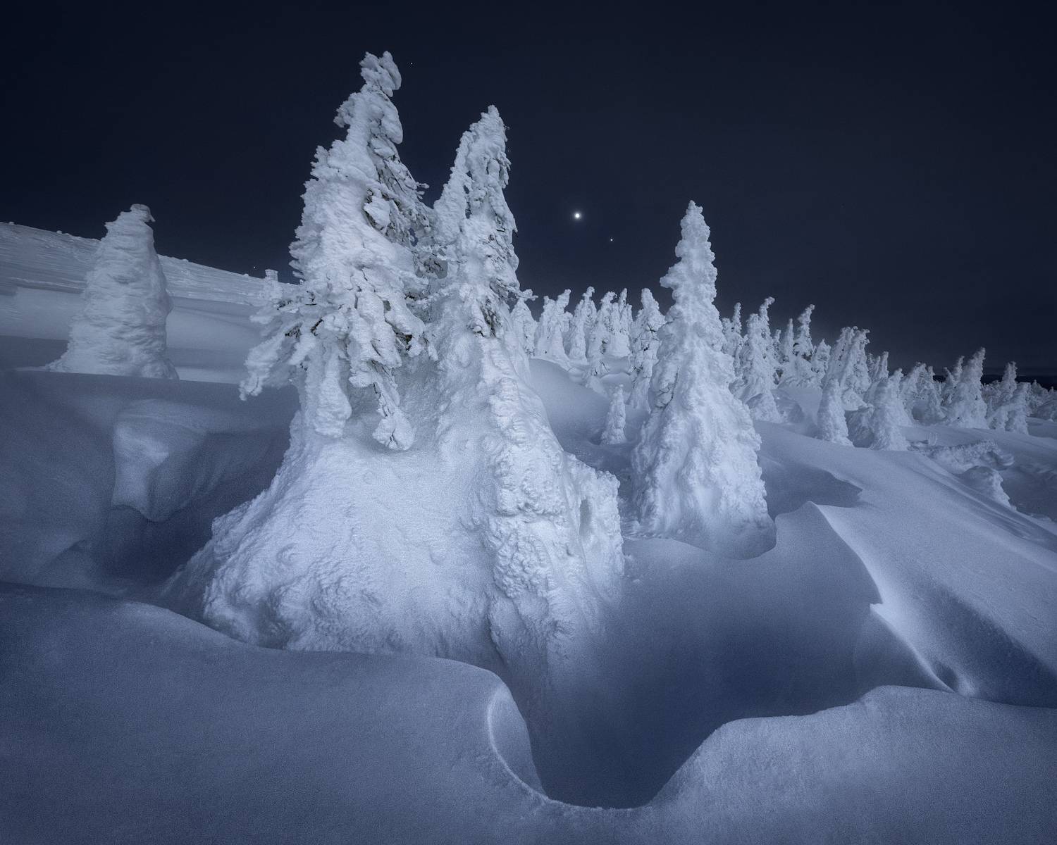 , Медянцев Дмитрий