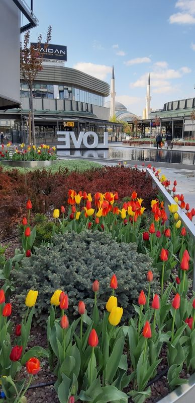 Анкара, весна Весна в Анкаре 2019 фото превью