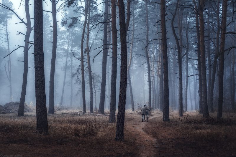 лес, туман, утро, тишина, человек, путник, тропинка, вдохновение, грибник, волшебный, саша чорный, фотограф чорный, *** фото превью