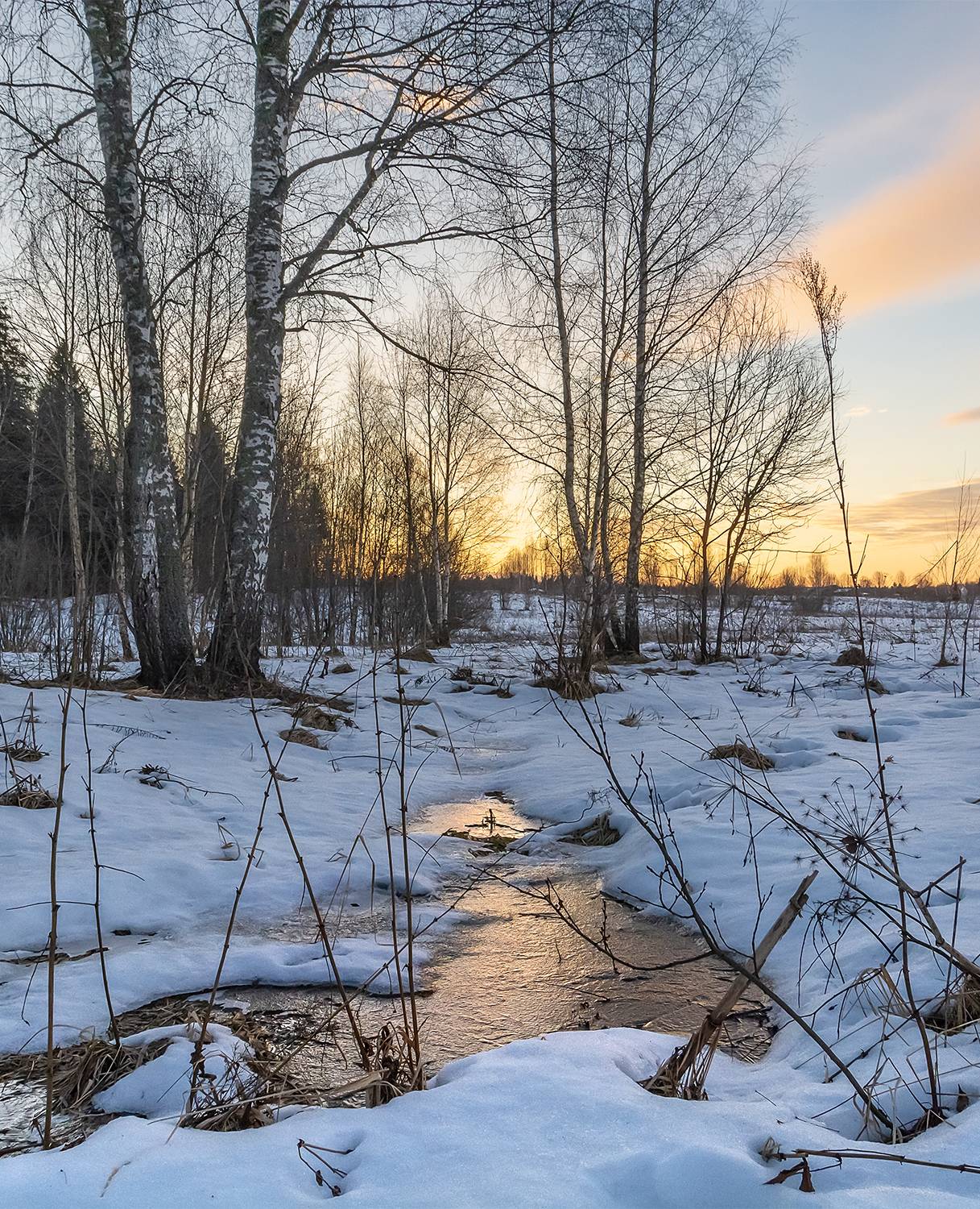 , Дмитрий Асеев