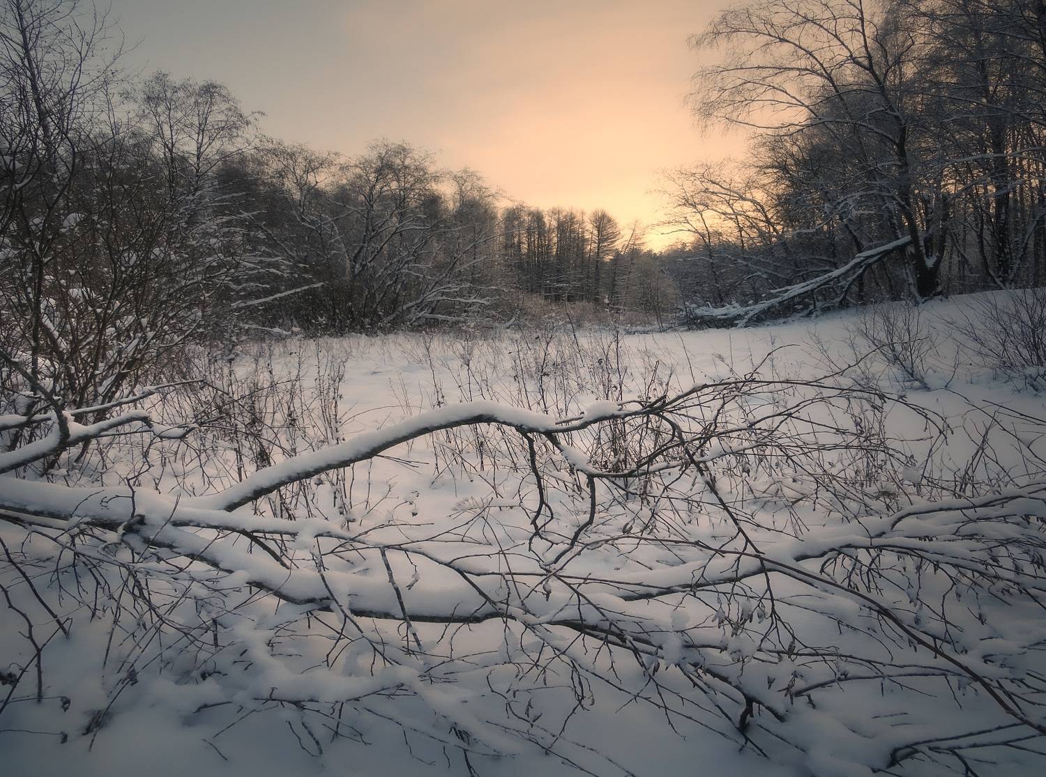 пейзаж, природа, лес, зима, рассвет, небо, снег, DX