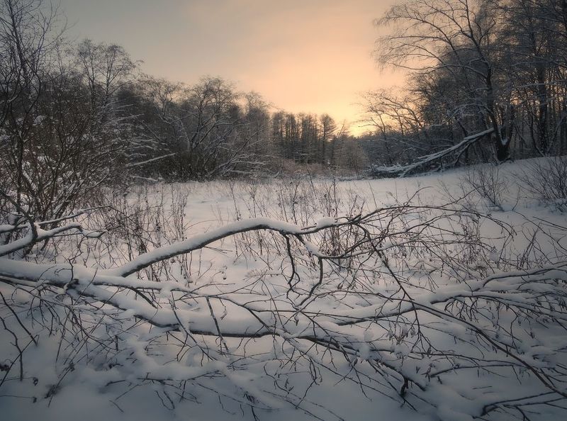 пейзаж, природа, лес, зима, рассвет, небо, снег Утро морозное фото превью