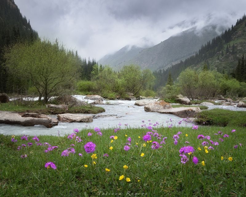 В горном ущелье дождь..... фото превью