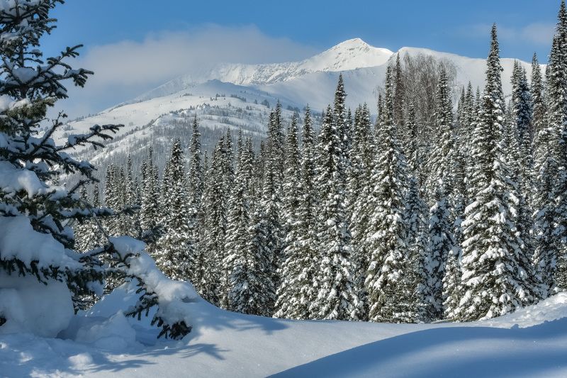 Горы Кузнецкий Алатау зимой фото превью