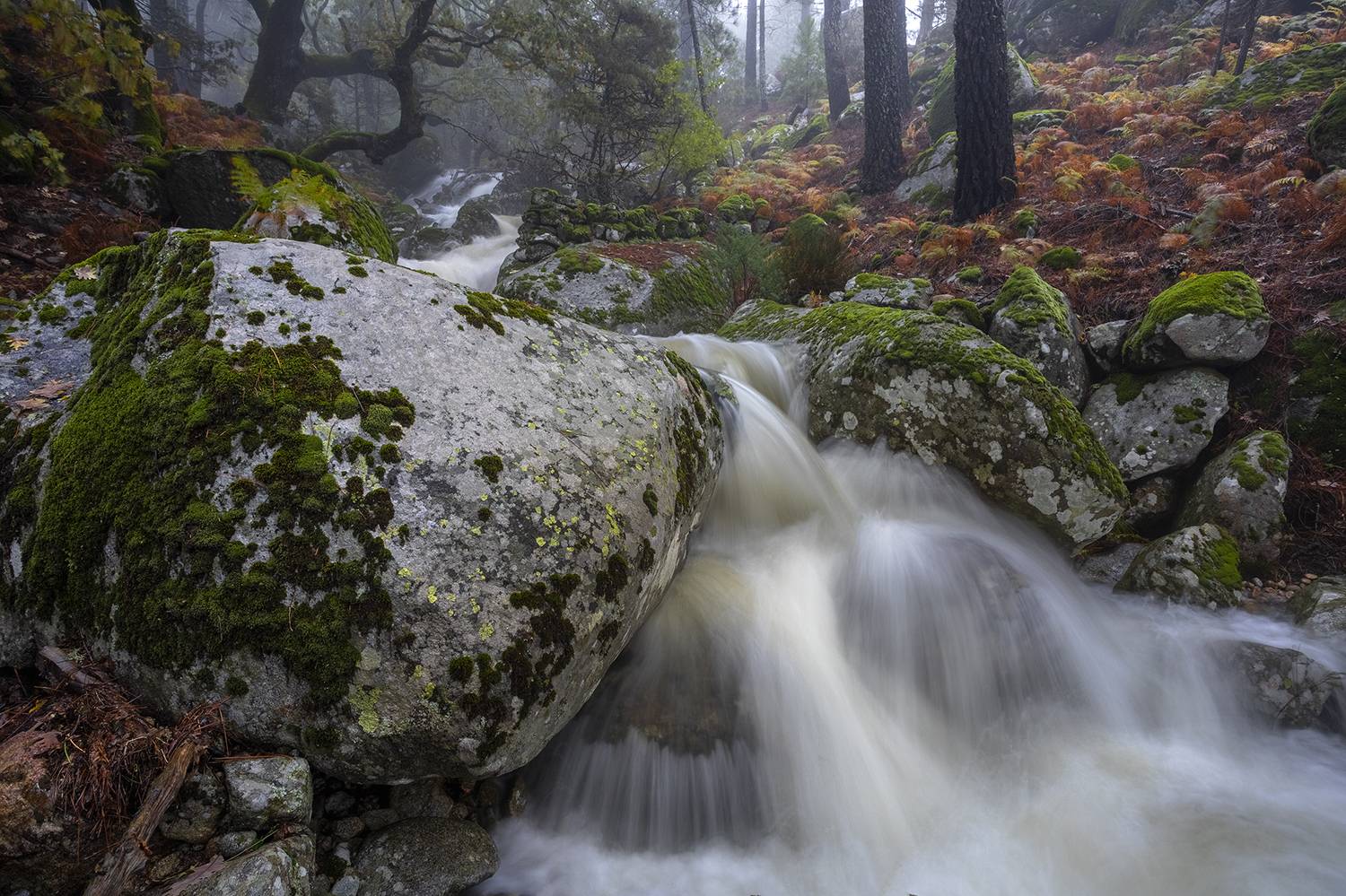 photography, mountain, spring, autumn, landscape, photo, awakening, flowers, land, landmark, lands, soft ligth, ligth, mountains, photo, river, jimenez millan samuel