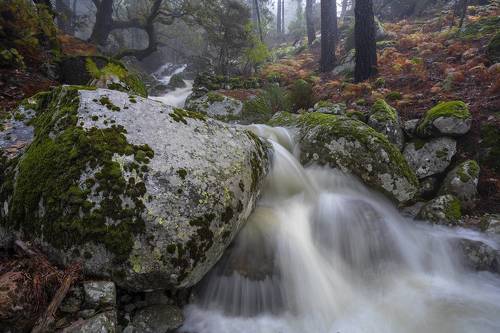 Primeval colors (II)