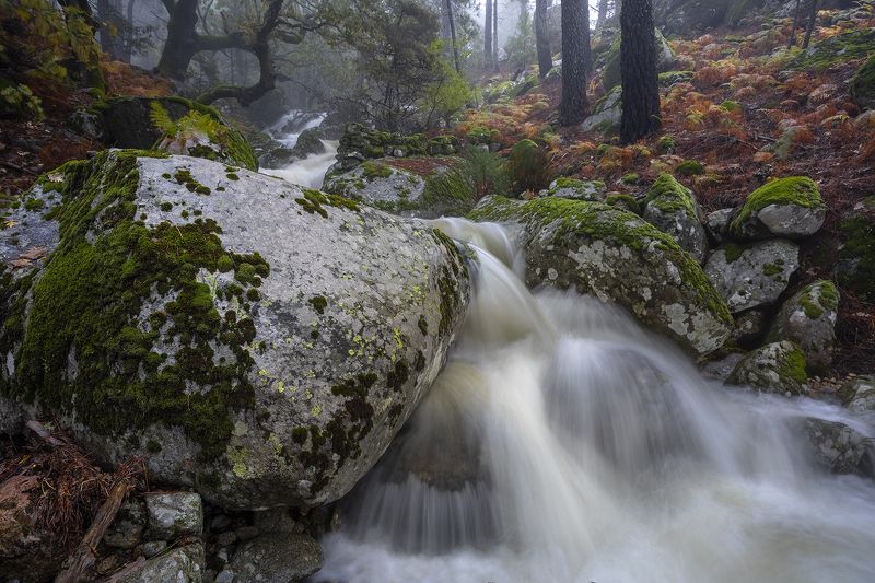 photography, mountain, spring, autumn, landscape, photo, awakening, flowers, land, landmark, lands, soft ligth, ligth, mountains, photo, river Primeval colors (II) фото превью