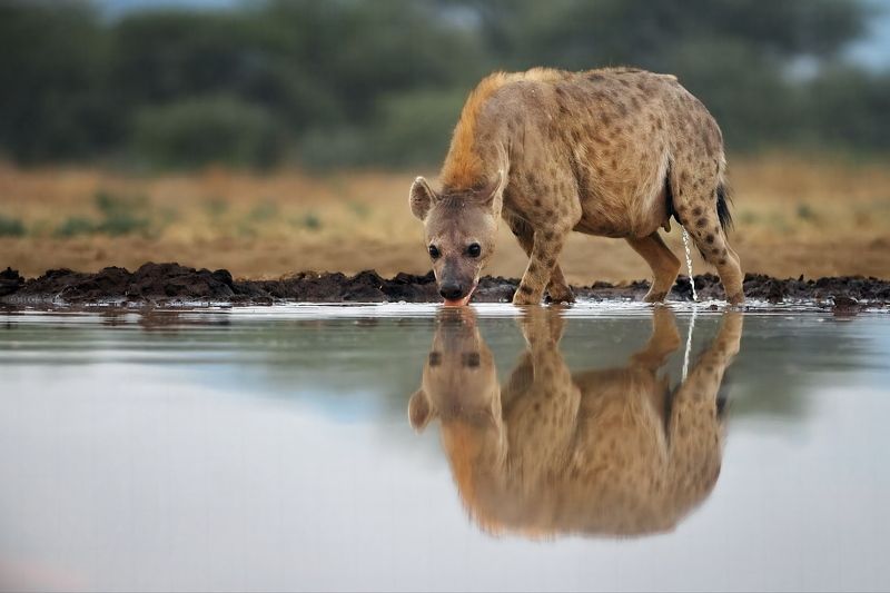 Круговорот воды в природе фото превью