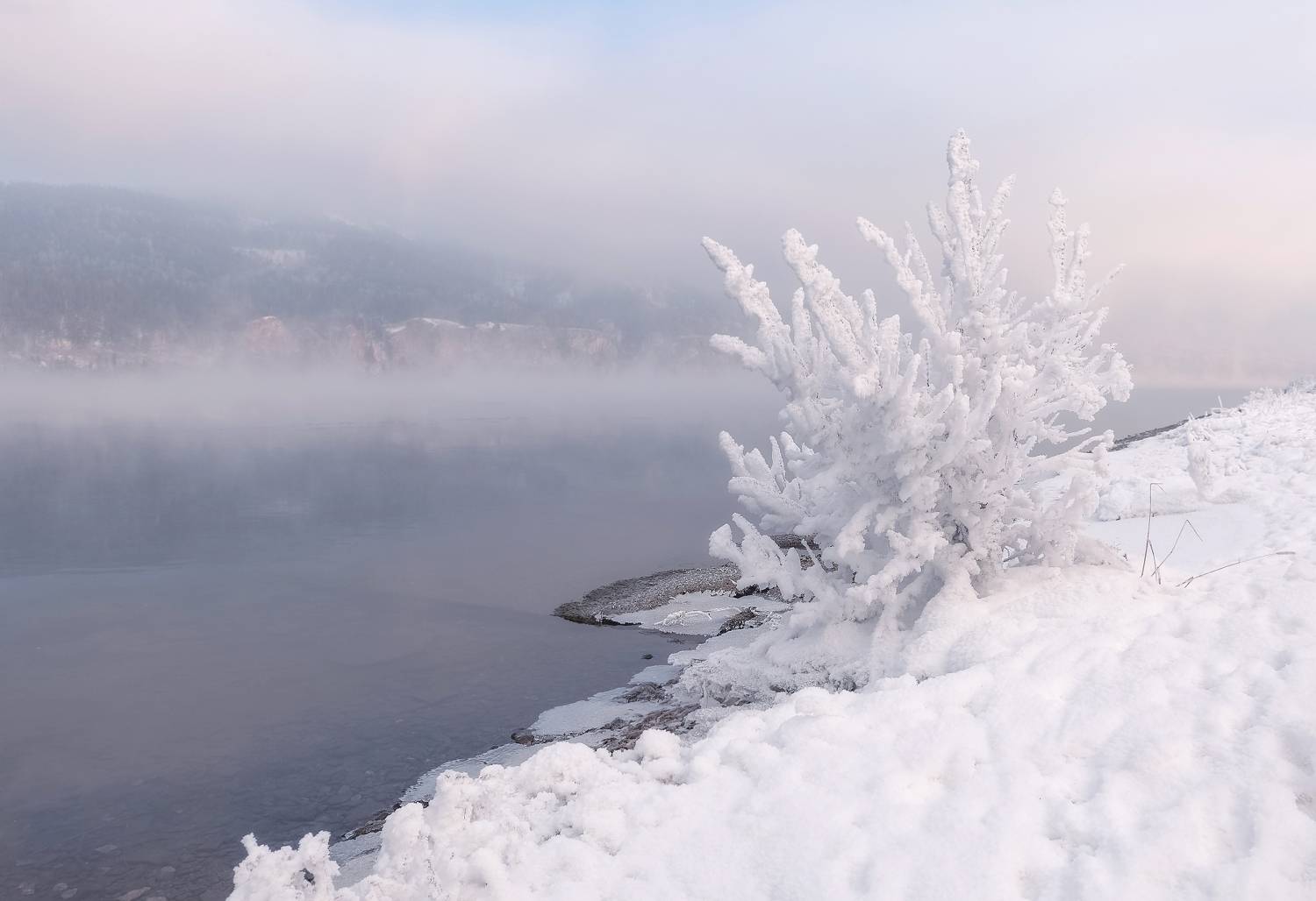 сибирь, берег, река, мороз, енисей, енисейская сибирь, иней, Фомина Марина