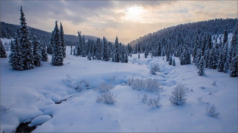 ергаки, луг, снег, зима, ели, река Замороженный мир фото превью