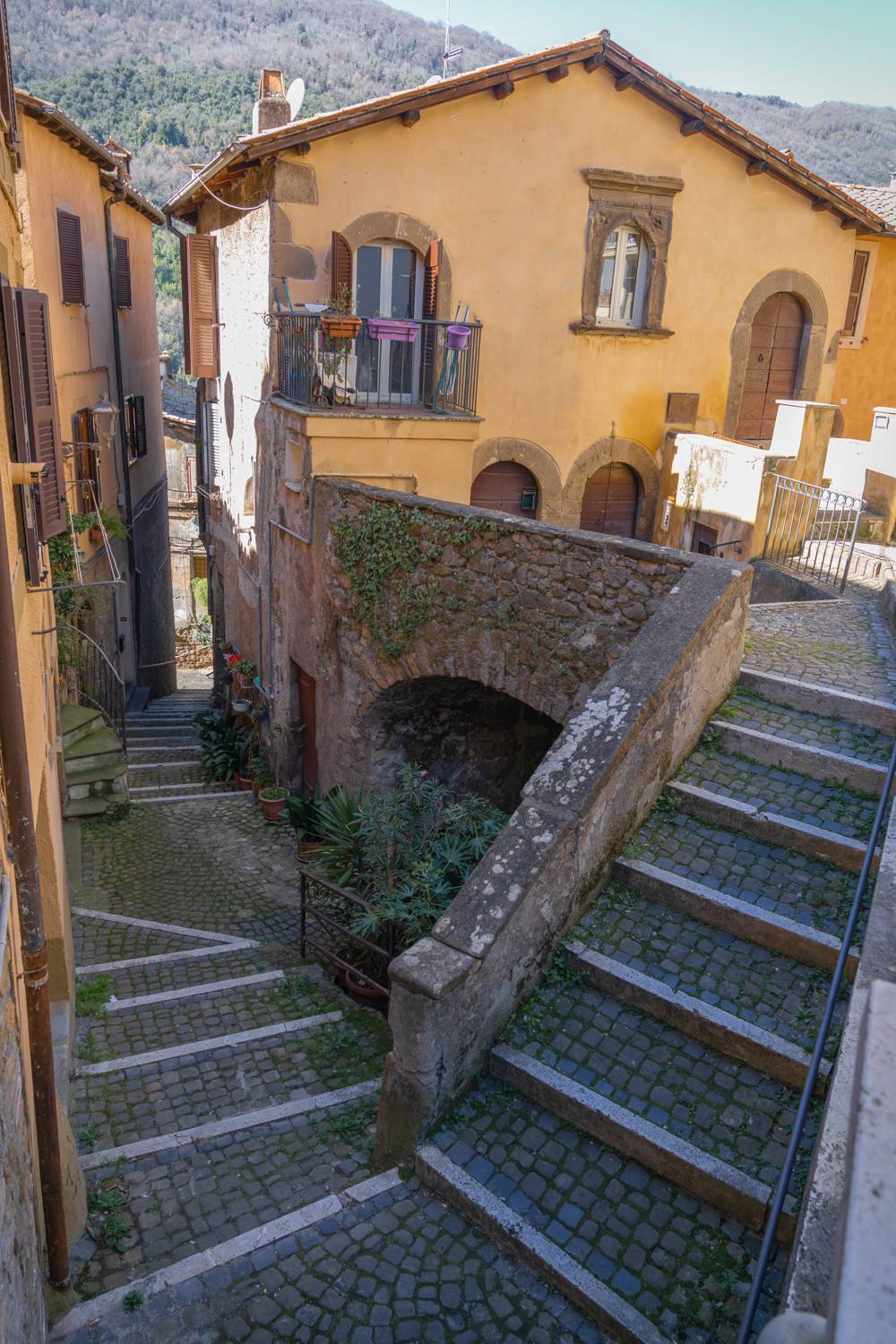 , Максимова Дария