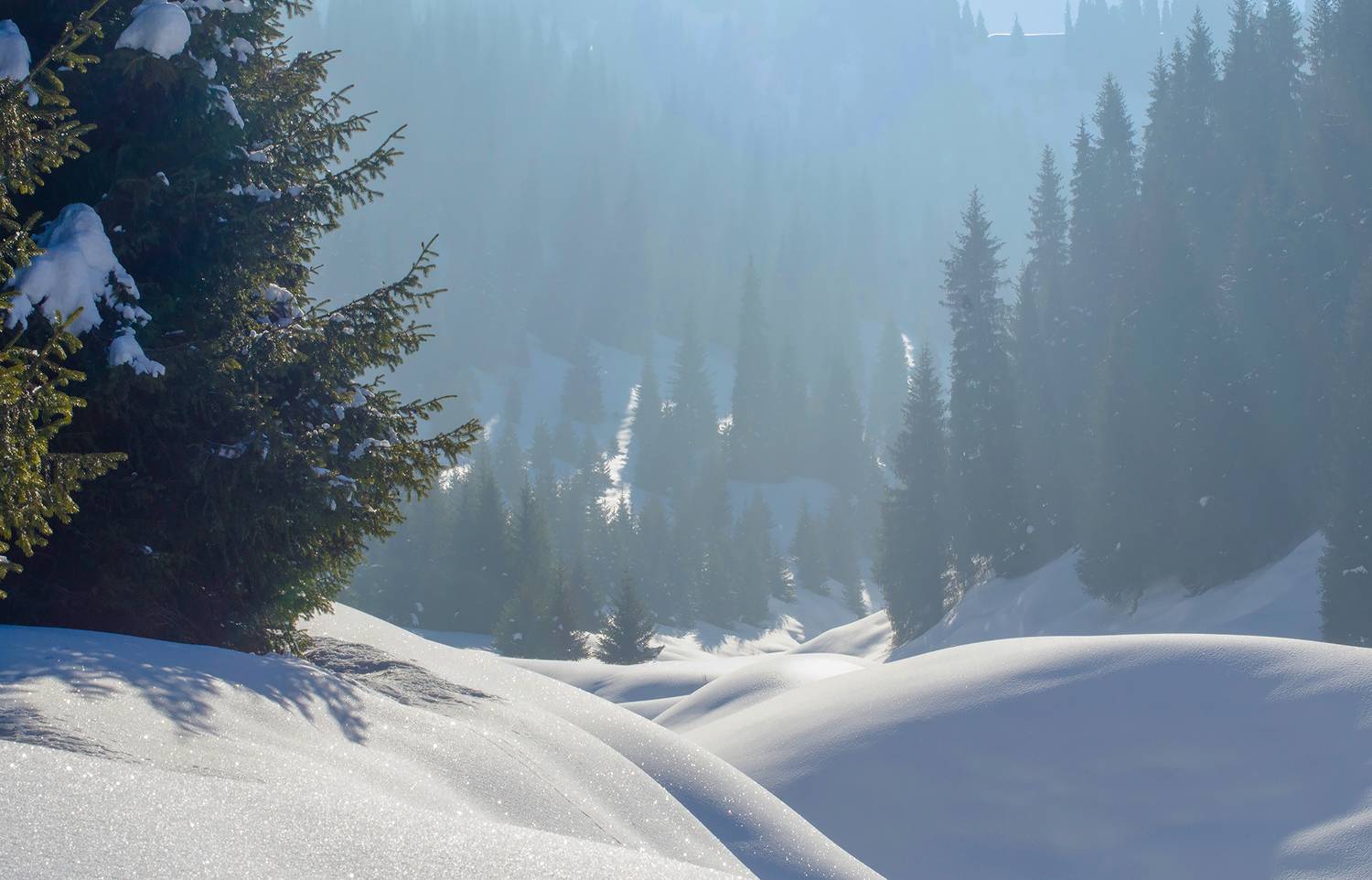 , Евгений Зинов