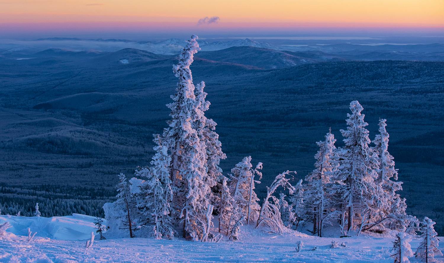зима таганай елки, Gurdina Lena