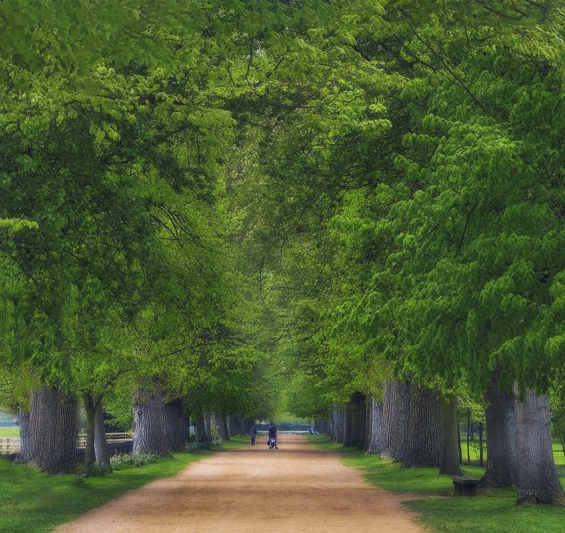 в Лондоне фото превью