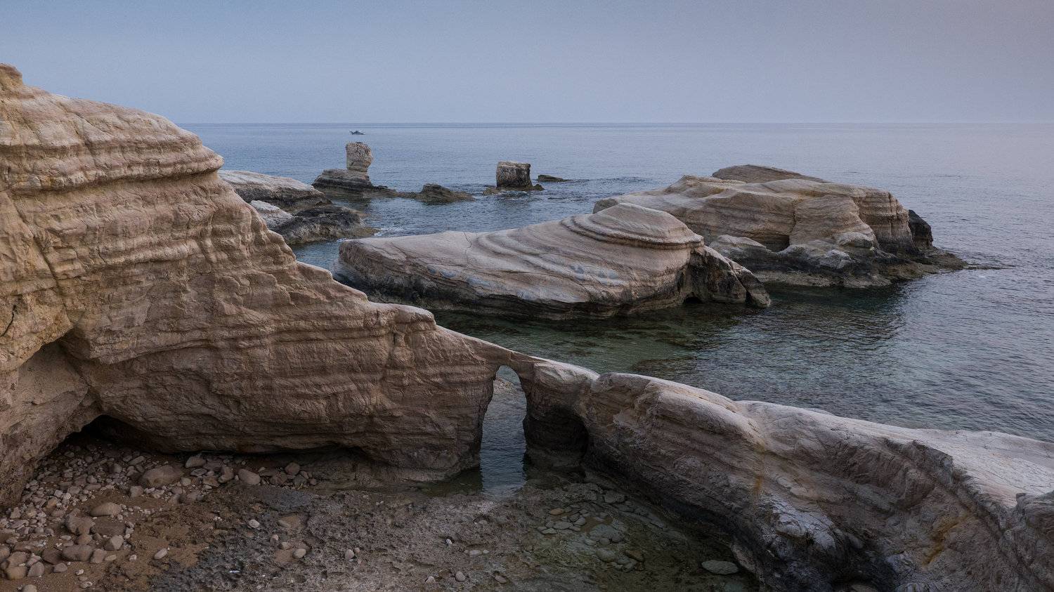 , Гордон Николай