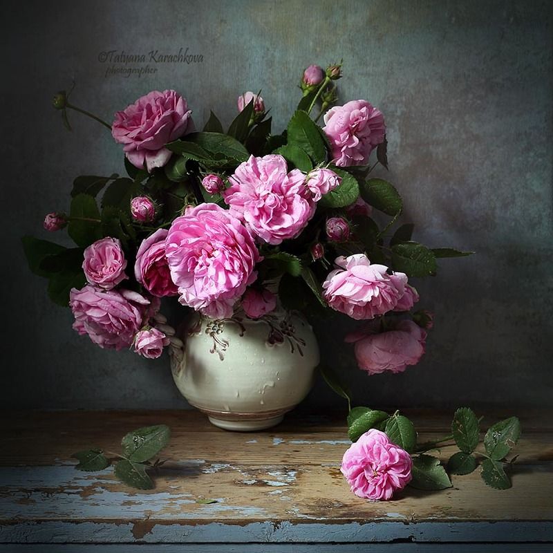 Розовый цвет в натюрмортах фото превью