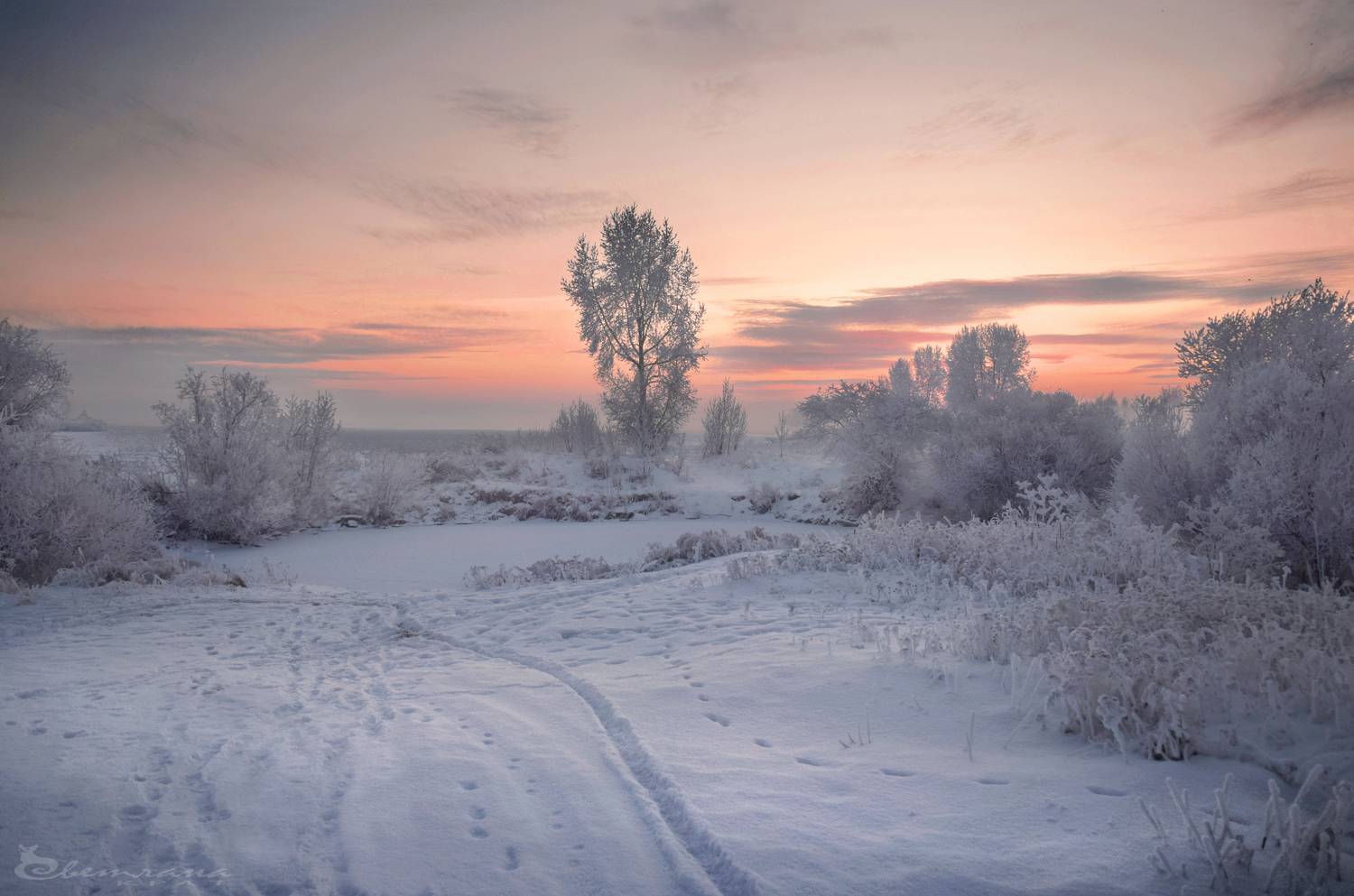 , Светлана Крат